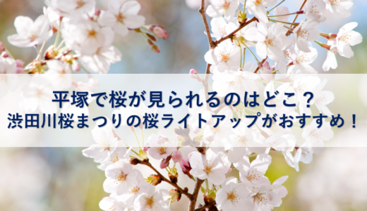 平塚で桜が見られるのはどこ？渋田川桜まつりの桜ライトアップがおすすめ！