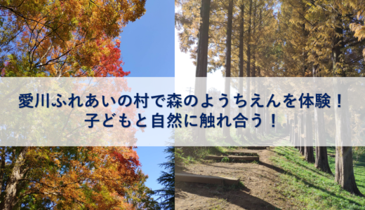 愛川ふれあいの村で森のようちえんを体験！子どもと自然に触れ合う！